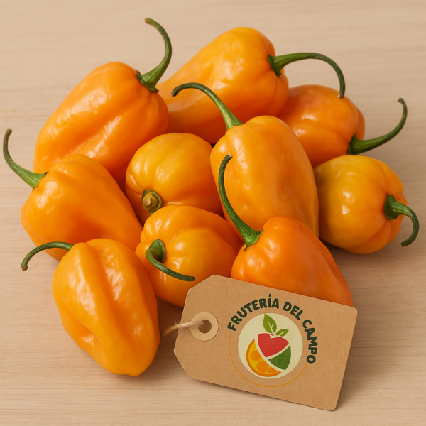 Chile habanero